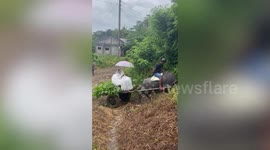 Determined bride rides carabao-drawn cart to church on her rainy wedding day in the Philippines