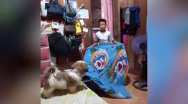 Innocent pet pooch is left confused after little boy's magic disappearing act