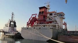 First ship with Ukrainian grain arrives at its final destination in Turkey
