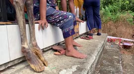 The Living Dead: How The Toraja People Of Indonesia Honor Their Deceased During  Ma'nene' Rituals