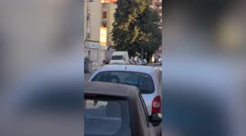 Escaped goat runs through street smashing jewellery store in Spain