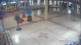 Temple ceiling COLLAPSES onto Buddhist monks while they pray in Thailand