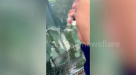 Skyscraper window cleaner greets tenants' pet cats while working 30 floors up from ground