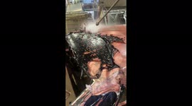 Wrecked 65 Pontiac GTO subjected to a satisfying pressure-washing session