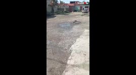 Abandoned puppy with burnt skin rescued by kindhearted fellows in Venezuela
