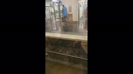 France: Violent Thunderstorm Brings Torrential Rain And Flooding To Paris 5