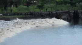 Tsunami like waves hit village in Indonesia (Tidal Bore) | Kampar River (Sumatra)