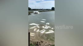 Ice cubes thrown into pond to keep fish cool during high temperatures in eastern China