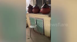 Retired Burmese football referee is now a volunteer snake catcher