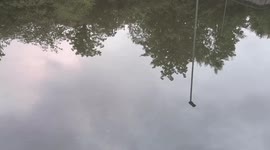 The A406 section of motorway that passes through South Woodford was so flooded a car got stuck