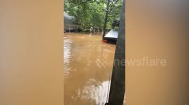 Hero residents swims through 5ft deep flood to save drowning dog in Myanmar