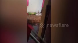 Shocked family finds 13ft-long king cobra hiding in their BED in Indonesia