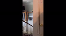 Boy gets emotional after parents surprise him with an iPhone... in his favorite color!