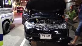 Wild monkey befriends stray kitten rescued from car engine compartment
