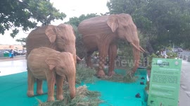 Elephants made out of a weed plant have been kept for display on a beach shore in South India