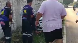 Rescuers pull out stray dog stuck in bumper after being hit by car