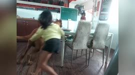 Frustrated youngster chases after pet dog that stole her shoe
