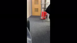 Small but Strong hamster shows how to do a pull-up and look good while doing it
