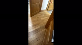 Woman left in awe after seeing that her washing machine could WALK!
