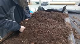 Getting started with Organic Veggie Gardening in Canada.  The Basics!  Know where your food comes from!