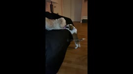 Watch me Dad while I run Molly ragged up and down the stairs until she’s pooped