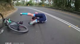 Disaster. Cat causes group of cyclists to crash. Cyclist crash
