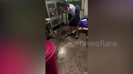 Brave schoolgirl, 17, catches wild snake in neighbour's home in Thailand