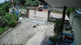 Sliding metal gate falls onto elderly woman pinning her to driveway