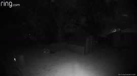 White orb/spirit moves down screen, then looks like it walks near the end.
