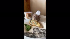 Chef rat cooks unique recipe from beginning to end