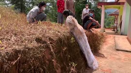 The Living Dead: How The Toraja People Of Indonesia Honor Their Deceased During  Ma'nene' Rituals