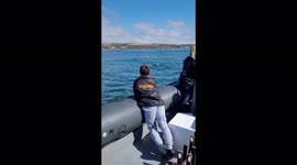 Surrounded by Dolphins! This Superpod of Bottlenose Got Up Close & Personal