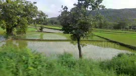 Train Travel  Beautiful View Of Green Fields , Train Travel Video Of Odisha,