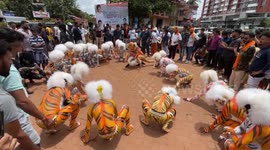 Performers wow crowd with acrobatic moves during 'tiger dance' in southern India
