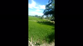 My best day for Aug Netur is very beautiful traveling with August 1 day but very beautiful I am feeling this moment