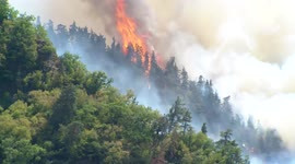 Georgia mobilises hundreds of firefighters to respond to major forest fire in Borjomi