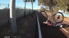 Tree roots growing through cycle path cause cyclist to crash.