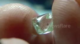 Lucky worker finds diamond worth over $6,000 lying on ground in India