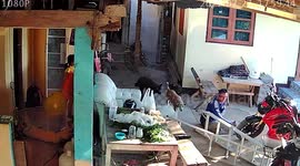 Clumsy father falls off ladder while repairing home's roof in DIY fail