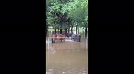 US: Heavy Rains Cause Flooding And Road Closures Across Dallas-Fort Worth Area 3