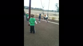 Swinging Cat