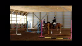 Horse Tired of Jumping