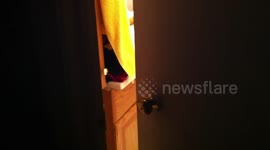 Girl Falls Asleep on Toilet