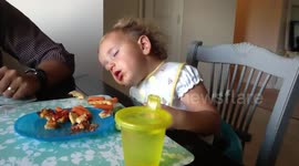 Girl Asleep at Dinner