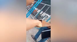 Curious puppy rescued after getting stuck inside metal pipe while playing