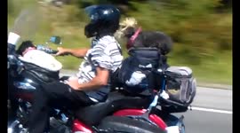 Motorcycle Dog