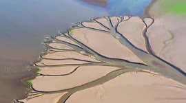 Tree-like patterns form on dried up lake caused by heatwave in southern China