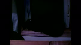 Cat Falls Off Windowsill