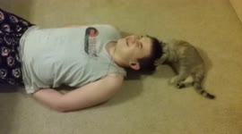 Cat Sit-Up Fail