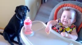 Girl Teases Dog With Food
